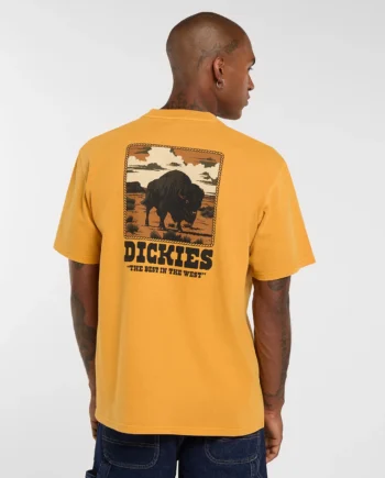 Dickies Darrtown T-Shirt Sunflower